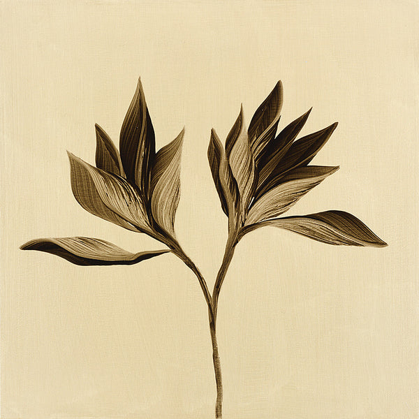ASH FLORA #2 Print