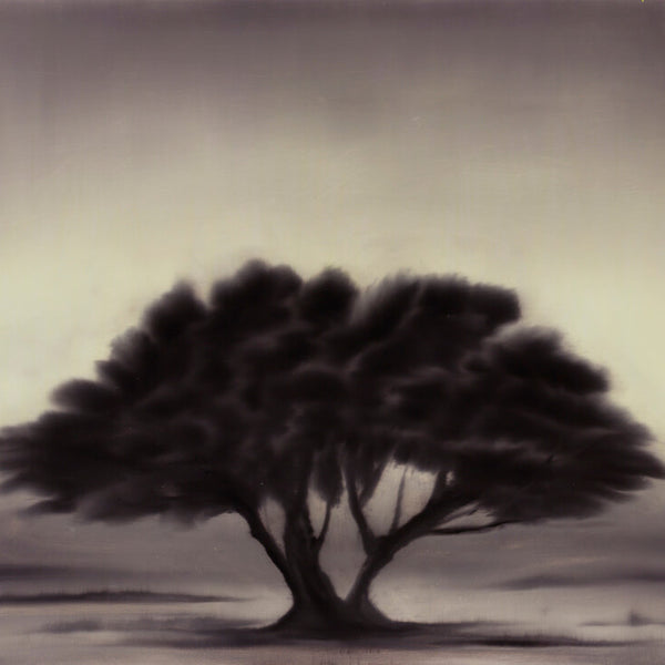 Ash Tree Print